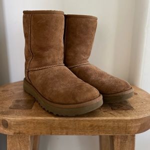 short chestnut uggs